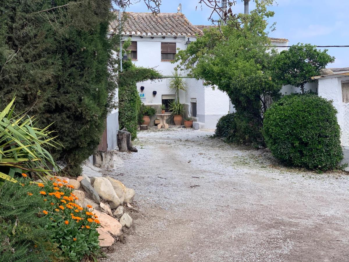 Cortijo Bustamante Guest House Baza Exterior photo